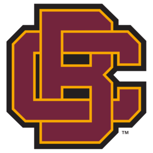 Bethune Cookman Wildcats Logo