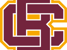 Bethune Cookman Wildcats Logo