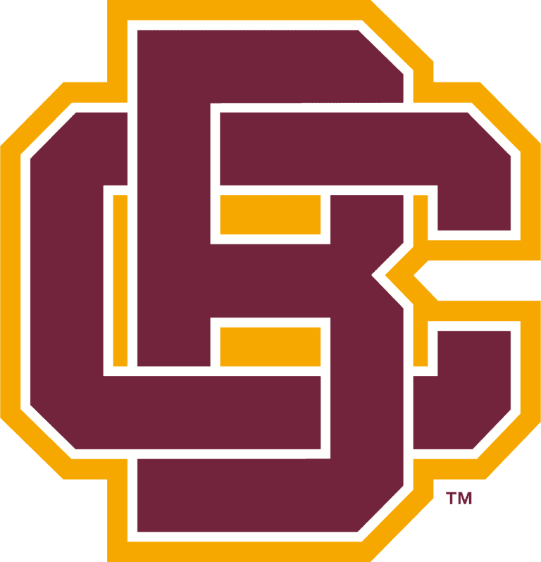 Bethune Cookman Wildcats Logo