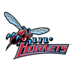 Delaware State Hornets Logo