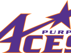 Evansville Purple Aces Logo