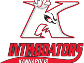 Kannapolis Intimidators Logo