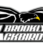 LIU-Brooklyn Blackbirds logo and symbol