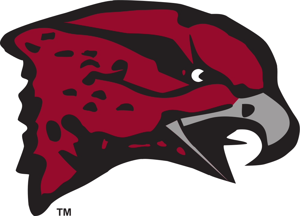 Maryland Eastern Shore Hawks Logo