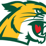 Northern Michigan Wildcats Logo