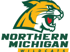 Northern Michigan Wildcats Logo