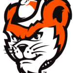 Sam Houston State Bearkats Logo