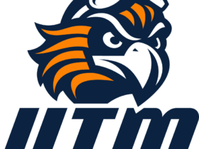 Tennessee Martin Skyhawks Logo