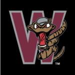 Wisconsin Timber Rattlers logo and symbol