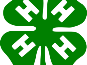 4h Logo