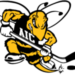 Aic Yellow Jackets Logo