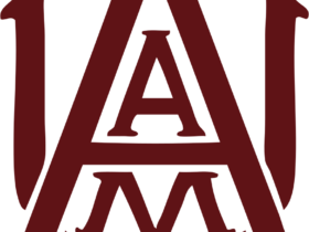 Alabama Am Bulldogs Logo
