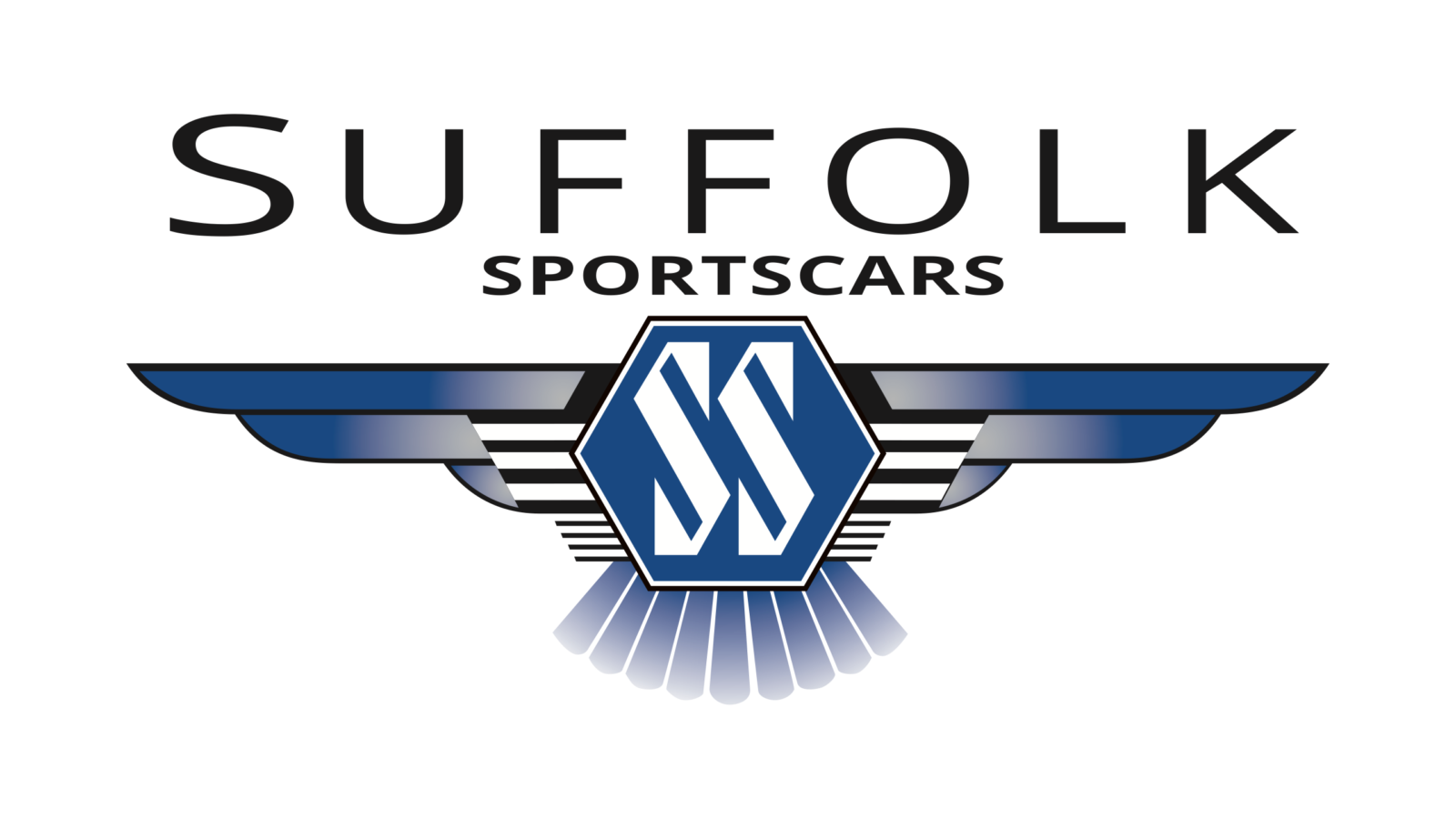 All Car Logo With Wings