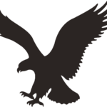 American Eagle Logo