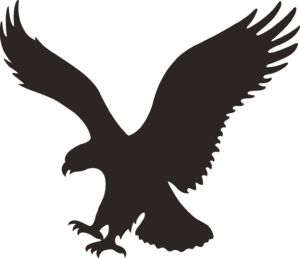 American Eagle Logo