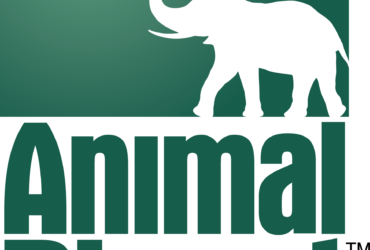 Animal Planet Logo