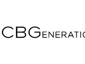 Bcbgeneration Logo