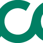 Bcg Logo