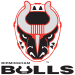 Birmingham Bulls Logo