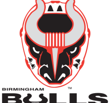 Birmingham Bulls Logo