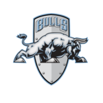 Birmingham Bulls logo and symbol