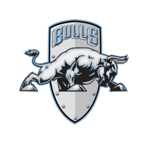 Birmingham Bulls logo and symbol