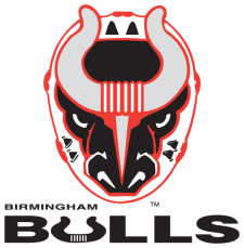 Birmingham Bulls Logo