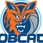 Bobcats logo and symbol