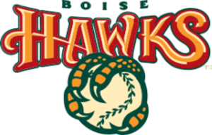 Boise Hawks Logo