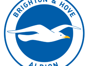 Brighton Hove Albion Logo