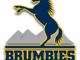 Brumbies Logo