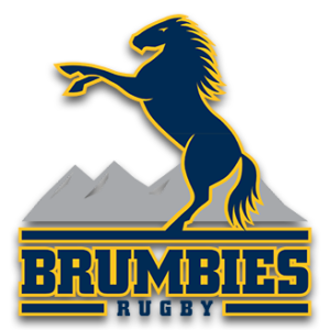 Brumbies Logo