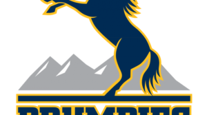 Brumbies logo and symbol