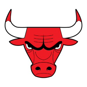 Bulls Logo