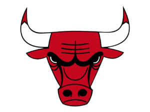 Bulls logo and symbol