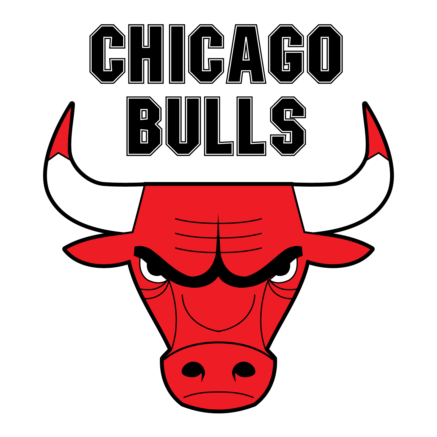 Bulls Logo