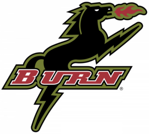 Burn logo and symbol