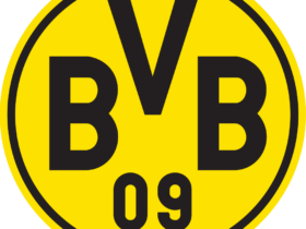Bvb Logo