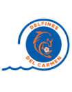 Carmen Delfines logo and symbol