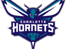 Charlotte Hornets Logo