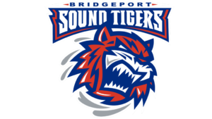 Connecticut Tigers logo and symbol
