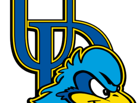 Delaware Blue Hens Logo