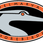Delmarva Shorebirds Logo