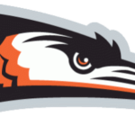 Delmarva Shorebirds Logo