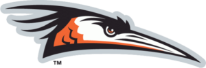 Delmarva Shorebirds Logo