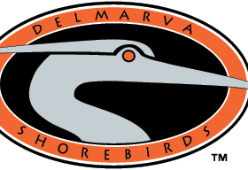 Delmarva Shorebirds Logo