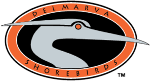 Delmarva Shorebirds Logo