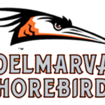 Delmarva Shorebirds logo and symbol