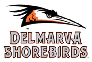 Delmarva Shorebirds logo and symbol