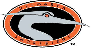 Delmarva Shorebirds Logo